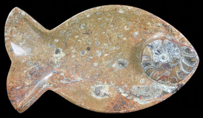 Fish-Shaped Fossil Goniatite Dish (Brown) - Stoneware #62455